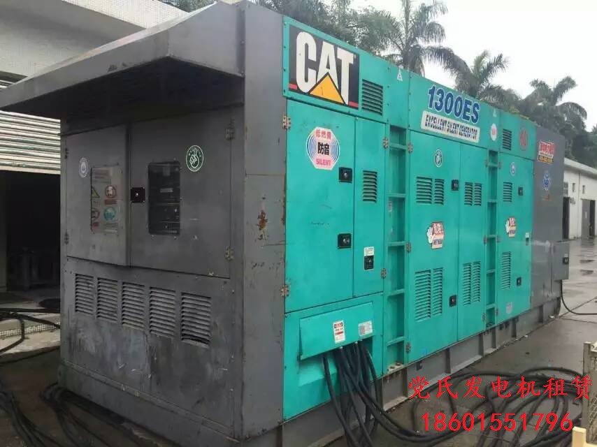 【出租發(fā)電機(jī)】市場(chǎng)化租賃發(fā)電機(jī)應(yīng)急正逐步被養(yǎng)殖戶(hù)接受