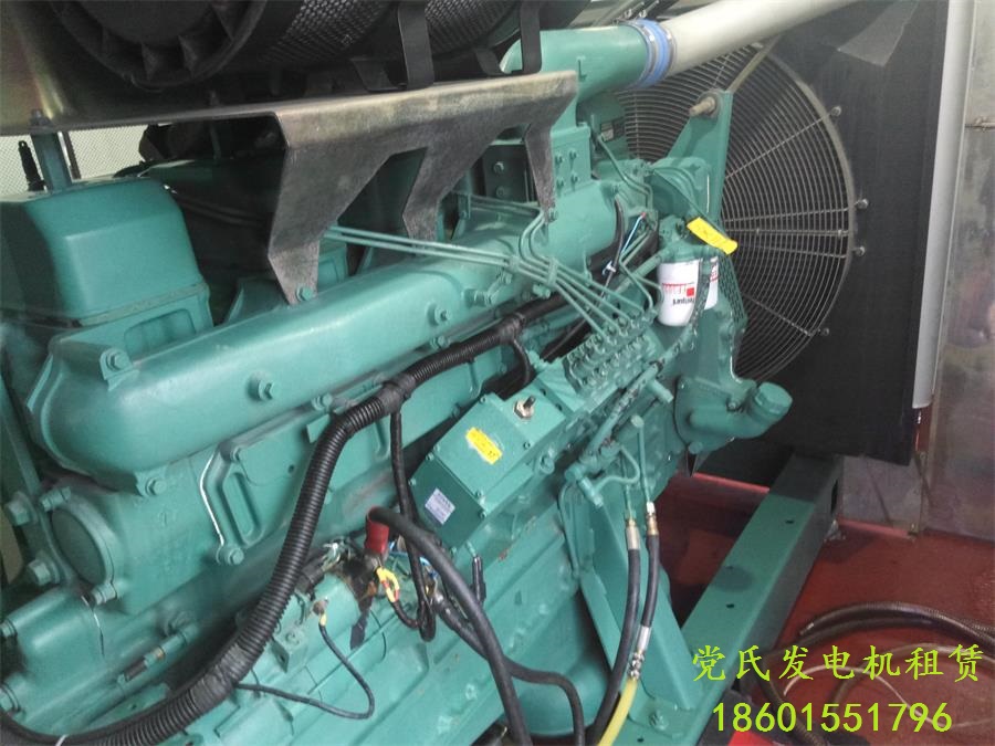 進口發(fā)電機出租交流發(fā)電機組電壓調(diào)節(jié)器故障與處理